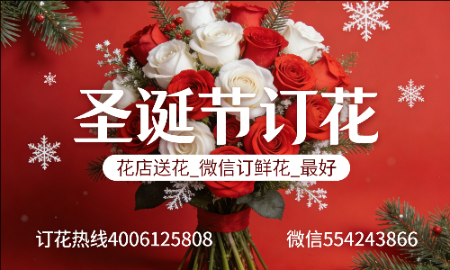 延边延吉市花店送花_微信订鲜花_圣诞节订花_最好? 延边延吉市花店
